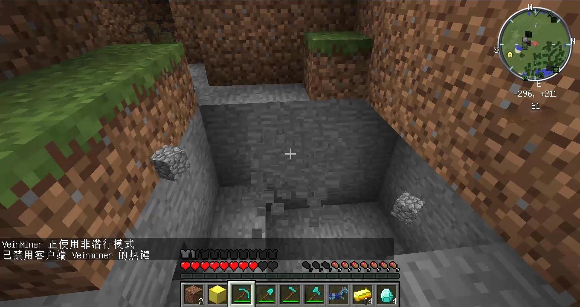 空洞骑士 豪华版 截图21